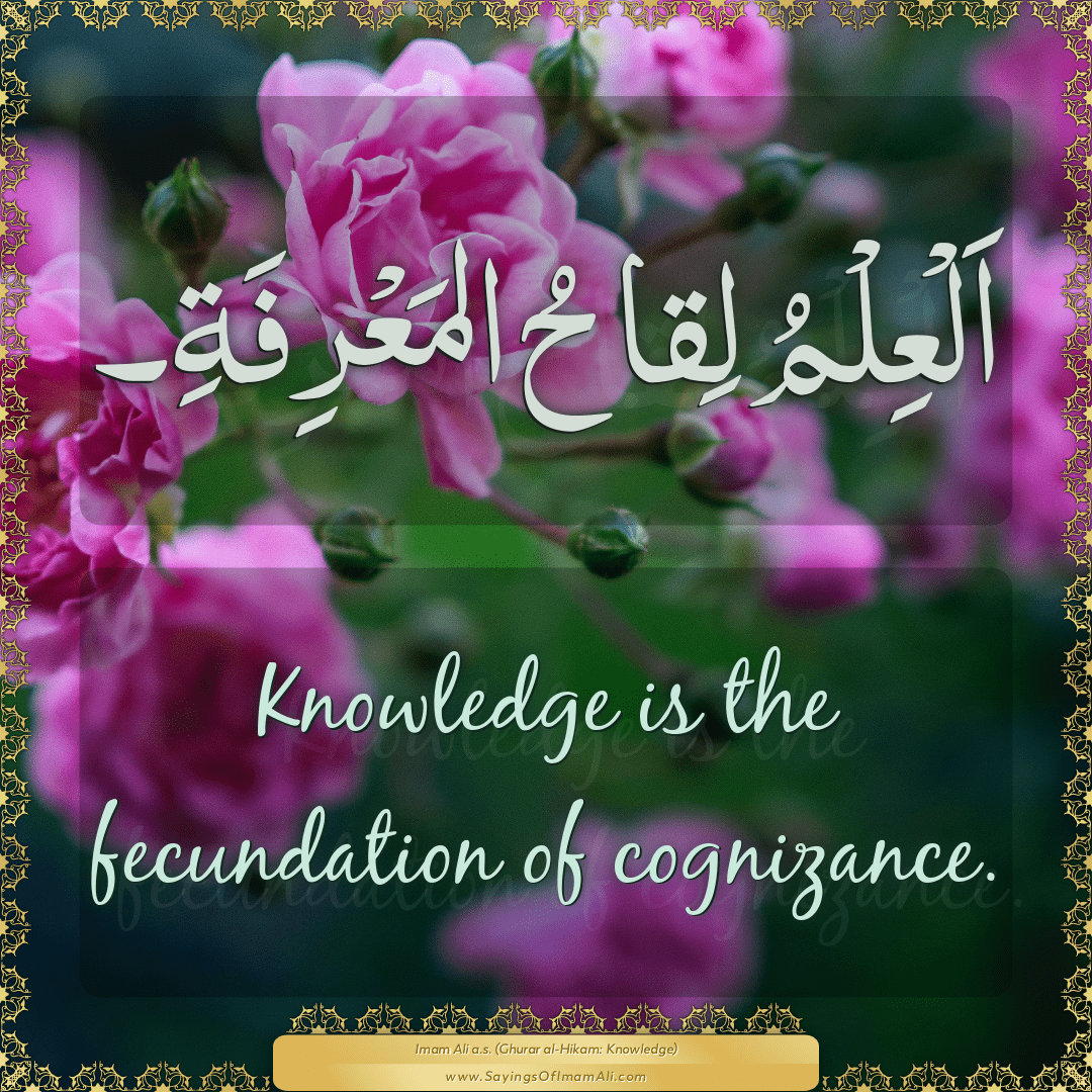 Knowledge is the fecundation of cognizance.